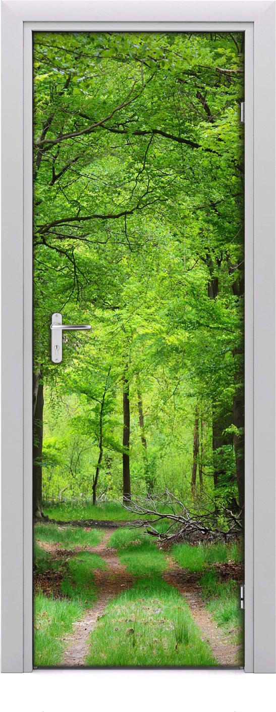 Tulup Fototapeta samoprzylepna na drzwi 75 x 205 cm las