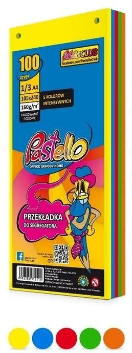 Przekładka do segregatora 1/3 A4 100K 5 kolorów