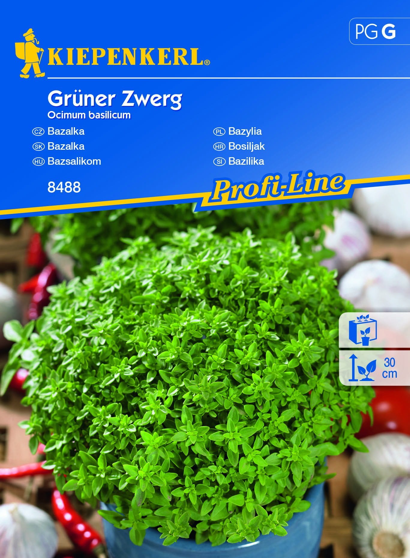 Bazylia Grner Zwerg 8488 (ST)