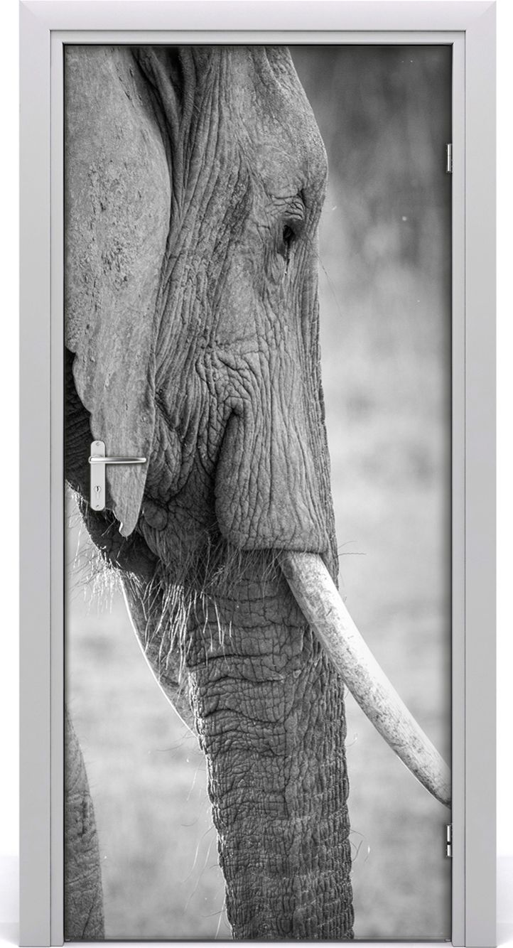 Tulup Fototapeta samoprzylepna na drzwi 95 x 205 cm słoń