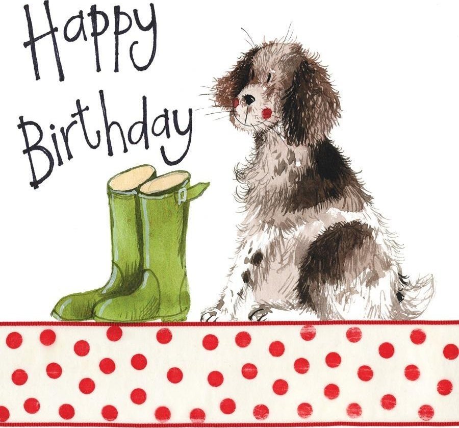 Karnet Urodziny S100 Pies i kalosze