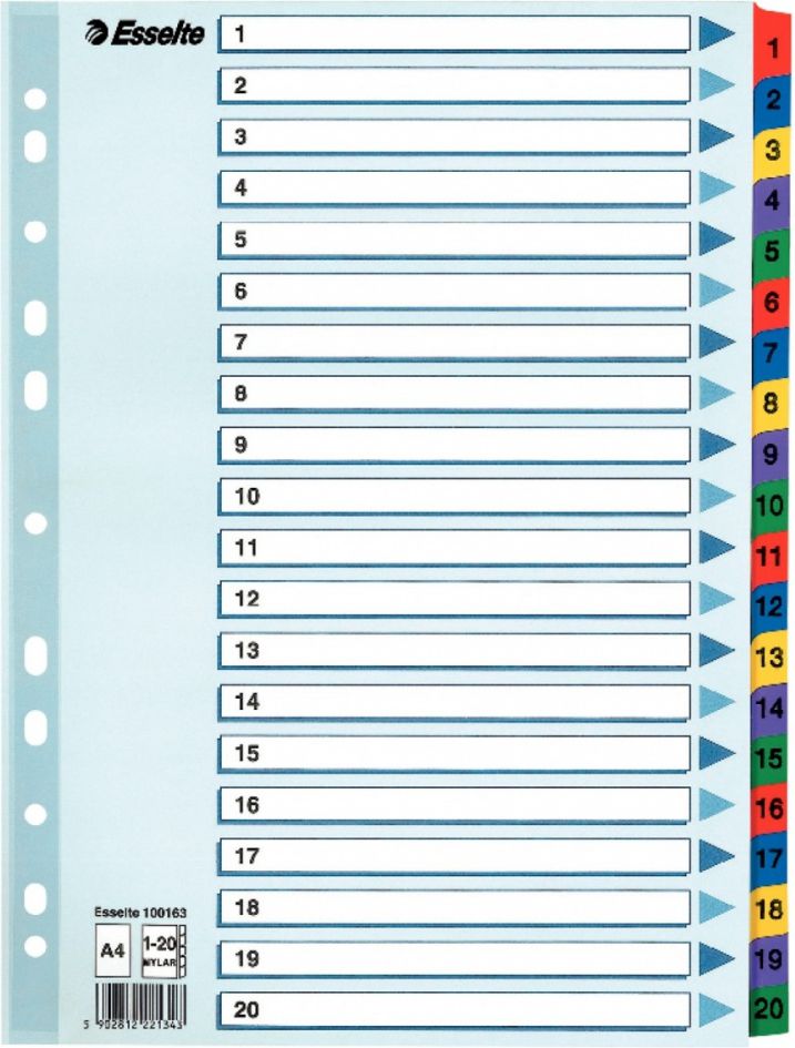 Esselte 1-20 KARTONOWE,BIALE - 100163