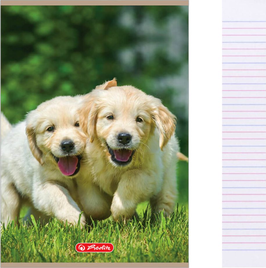 Herlitz Zeszyt A5 32k w 3 linie kolorowe Animals HERLITZ