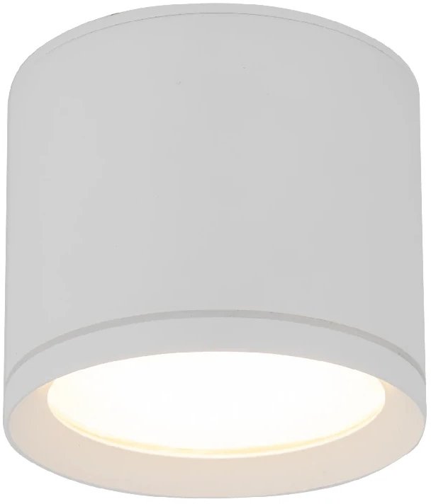 Downlight sufitowy do kuchni Viwo 10595 tuba nad blat IP44 biały