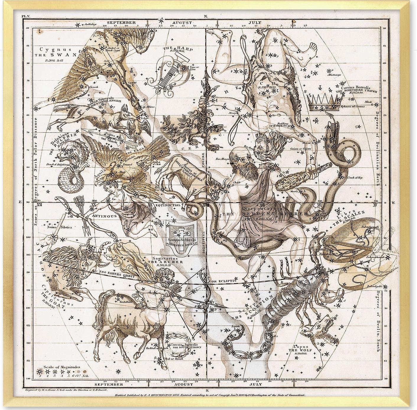 ART-POL Obraz Mapa Plan Szkic 63x63cm