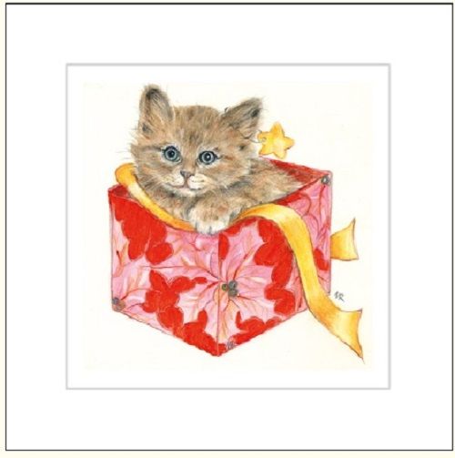 DA VINCI Karnet Kot w pudełku DaVinci 16x16 cm + koperta (G04 41G 054)