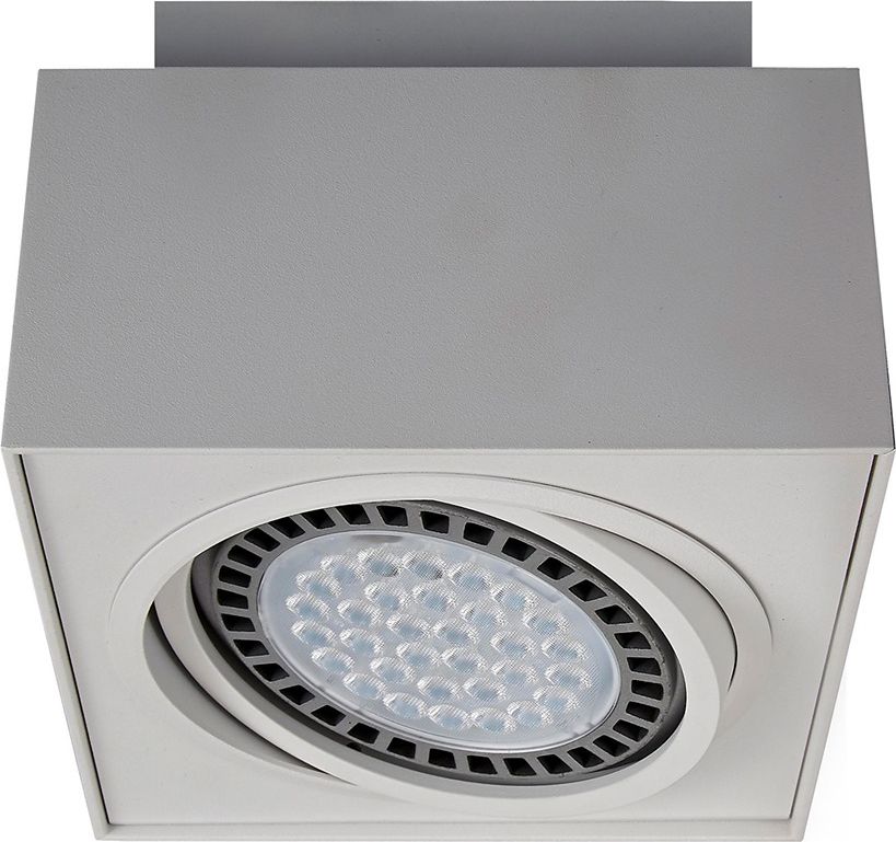 Lampa sufitowa Selsey Spot Ingram biały