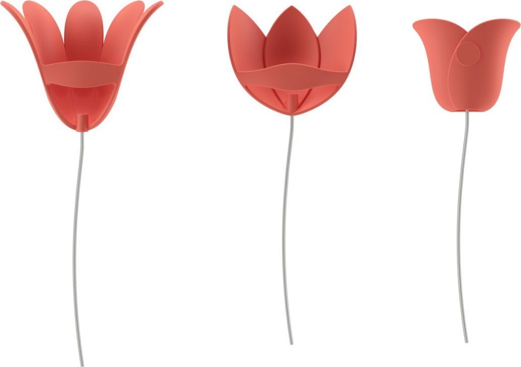 Umbra WALLDECO/BLOOMER/CORAL