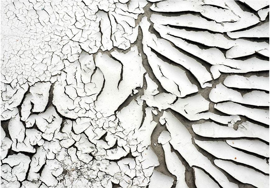 DecoNest Fototapeta - Znaki czasu - 350X245