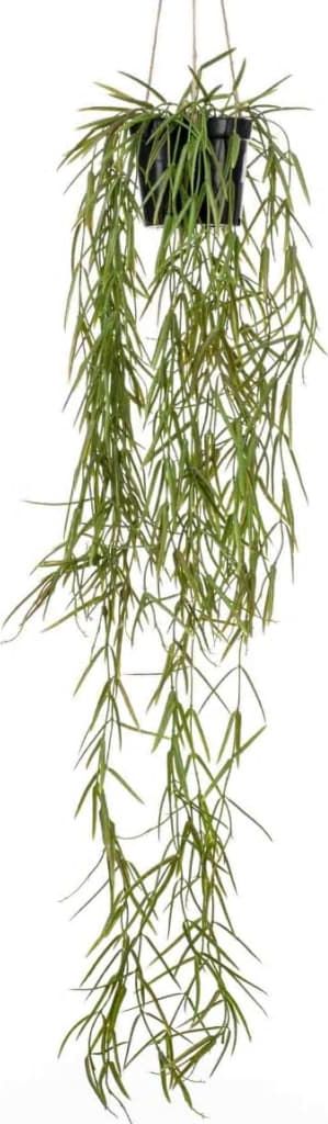 Emerald Emerald Sztuczna hoja w doniczce do zawieszenia, 80 cm