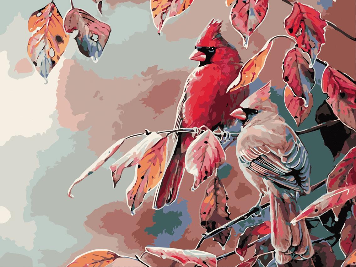 Hobby-maniak Malowanie po numerach - Ptaszki