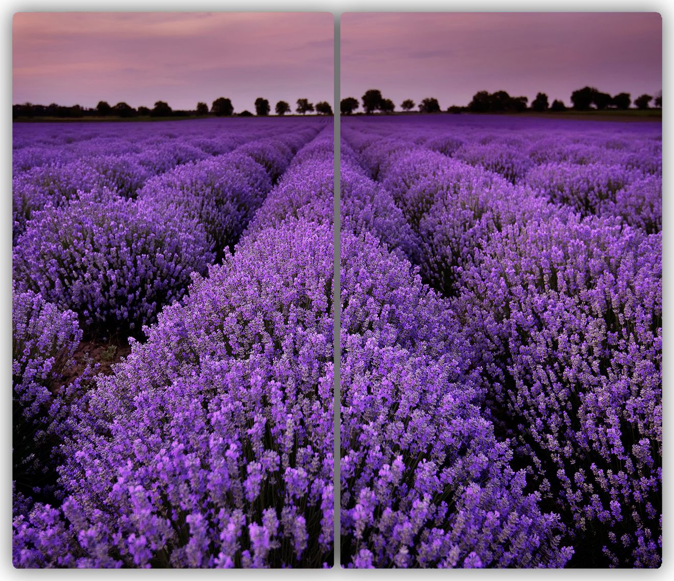 Deska do krojenia Tulup szklana Pole lawendy 1 52x30cm 2szt.