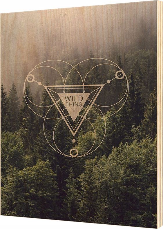 E-druk Drewniany plakat Obraz na sklejce 28x39cm SP654