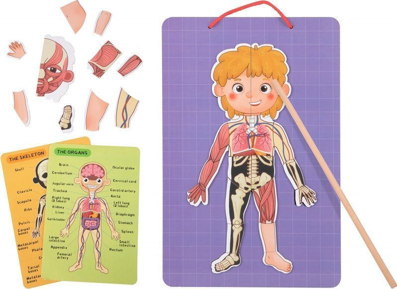 Tooky Toy Tooky Toy Drewniane Puzzle Magnetyczne Nauka Anatomia Człowieka 78el.