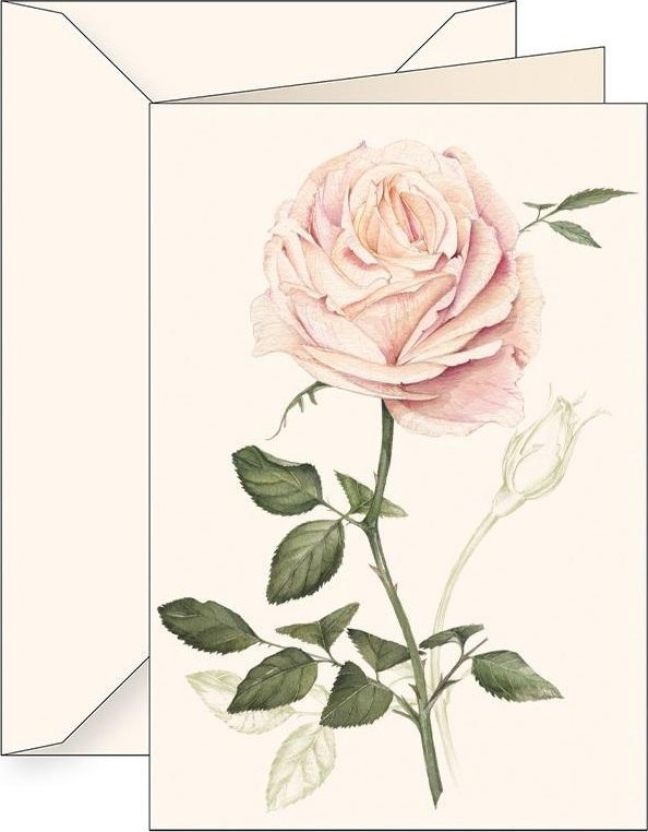 Karnet B6 + koperta 6165 Róża