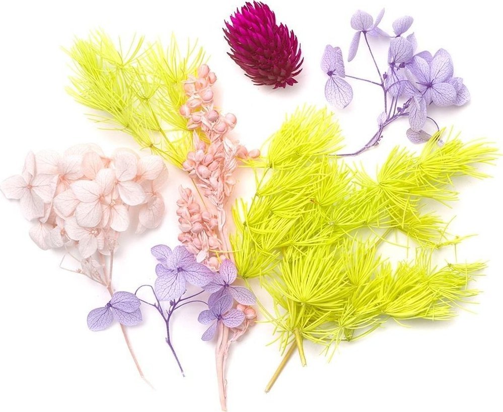 DKD Home Decor Kwiaty suszone dekoracyjne liliowy różowy