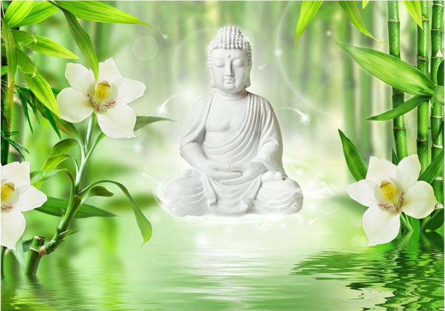 DecoNest Fototapeta - Budda i natura - 150X105