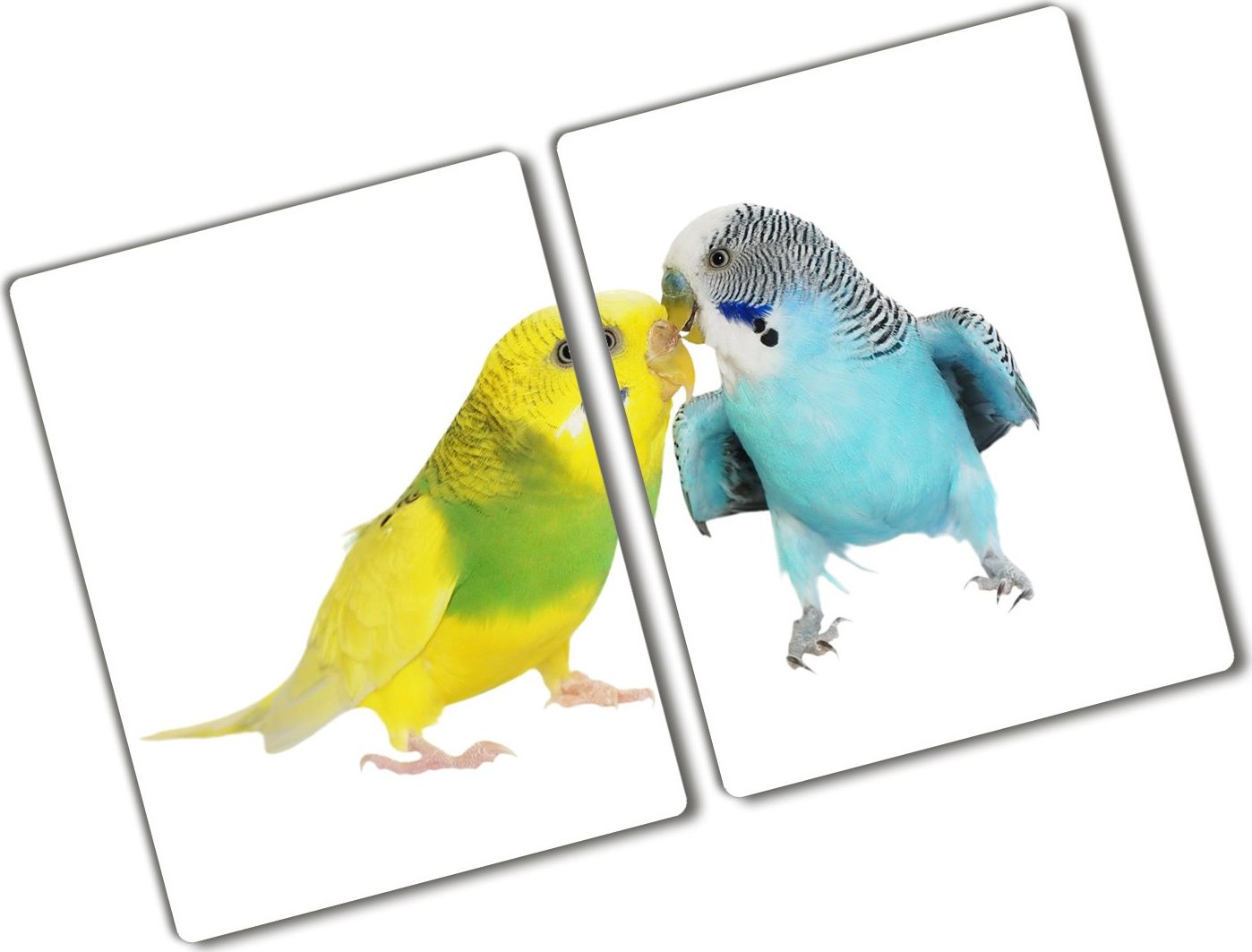 Deska do krojenia Tulup szklana 52x2szt.