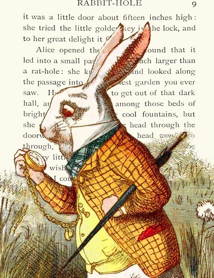 Madame Treacle Karnet B6 z kopertą Alicja w krainie czarów