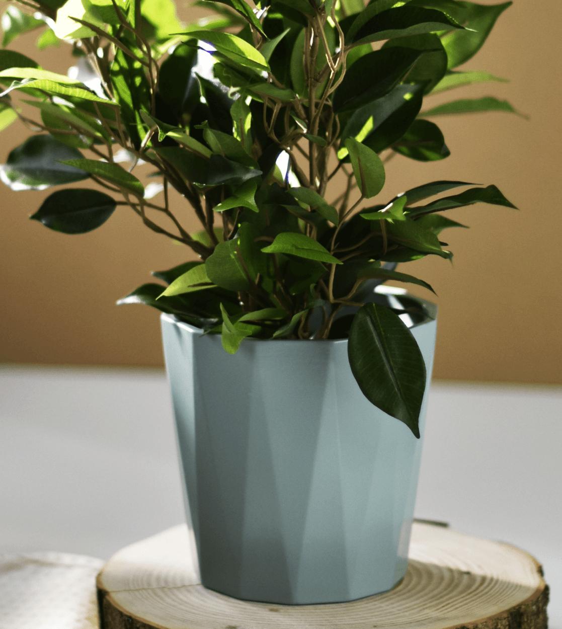 Tajemniczy ogród Osłonka ceramiczna FLORES miętowo szary, 13,5 cm