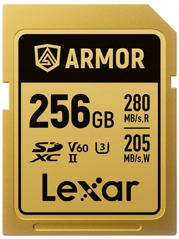 Karta Lexar Armor Gold SDXC 256 GB Class 10 UHS-II/U3 V60 (LSDAMGL256G-RNNNG)
