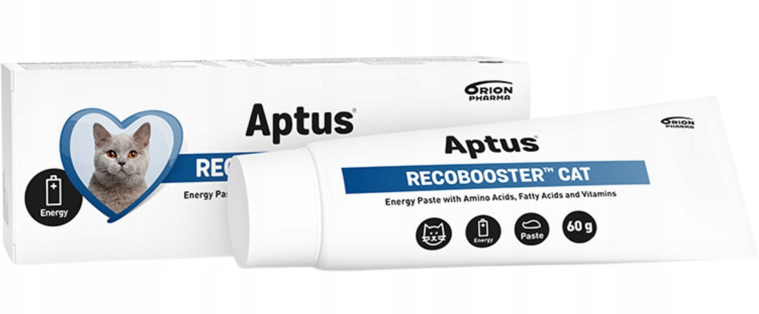 APTUS RECOBOOSTER Cat odżywienie i apetyt kot 60g