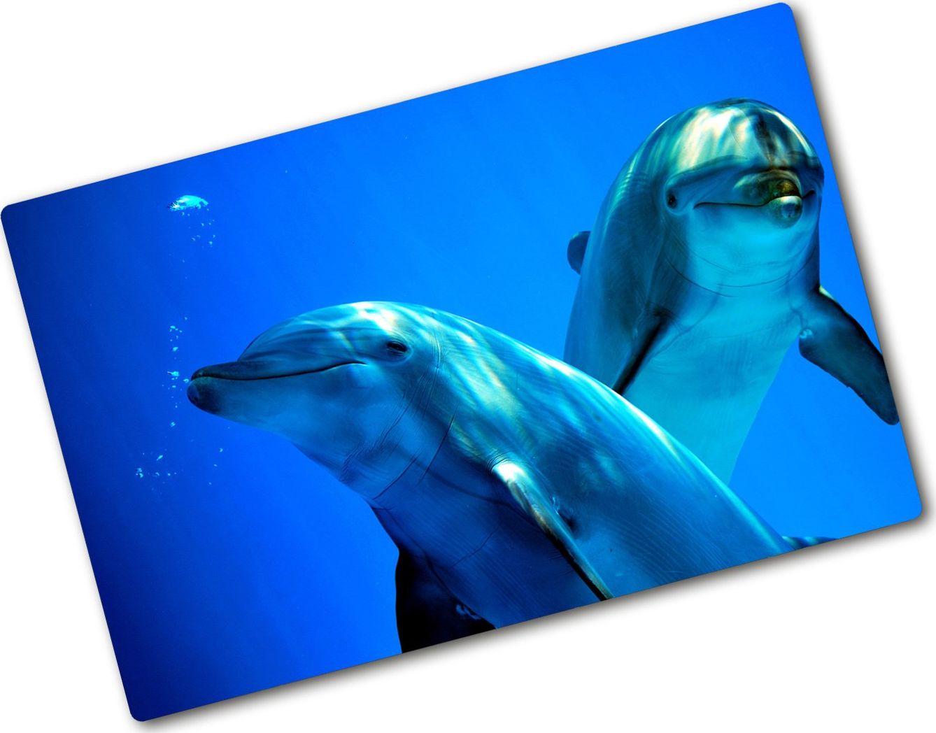 Deska do krojenia Tulup szklana 80x52cm