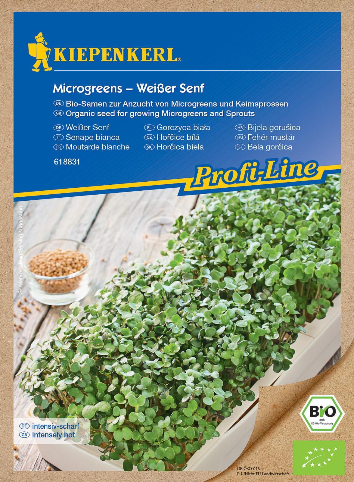 Kiepenkerl Gorczyca Weier Senf - nasiona na microgreens - Kiepenkerl