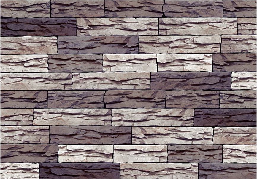 DecoNest Fototapeta - Niewzruszony - 100X70