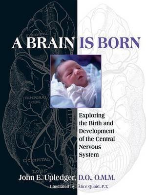 A Brain Is Born