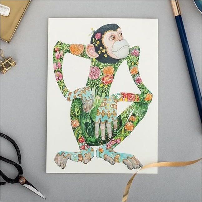 DM Collection Karnet A084 B6 + koperta Małpa