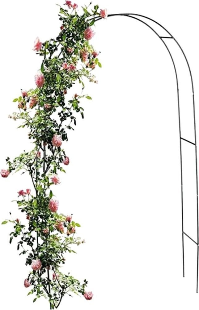 Kinzo PREGOLA NA RÓŻE KINZO