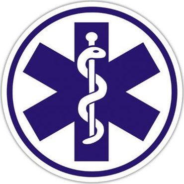 Polska Firma Naklejka ESKULAP na szybę 10 cm (klejona od wewnątrz)