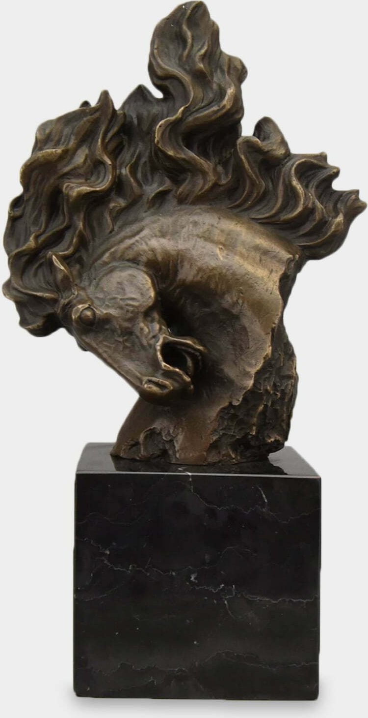 rzezbyzbrazu Głowa Dzikiego Konia Rzeźba z Brązu