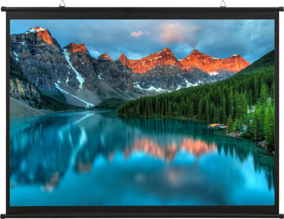 Ekran do projektora vidaXL 51398