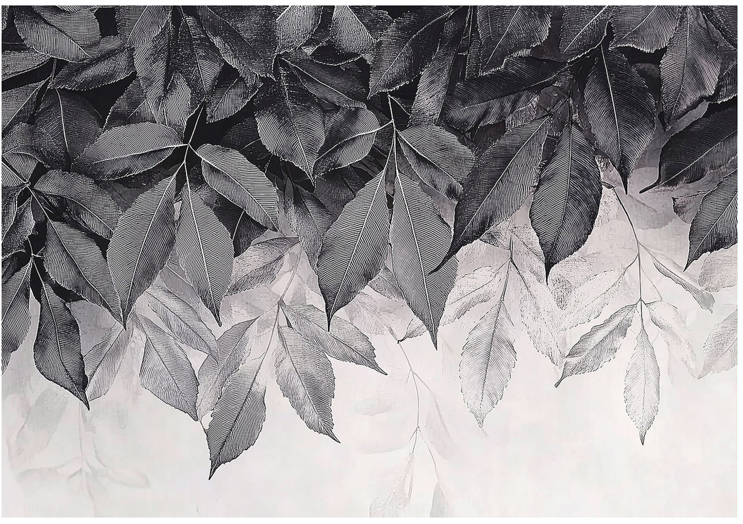 Fototapeta Liście Wiszące Szary Sypialnia Salon Tapeta Flizelina 400X280