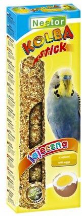 Nestor KOLBA PAPUGA MAŁA JAJECZNA