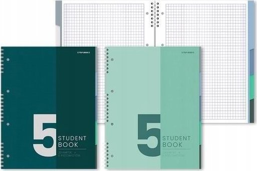 Teka Kołozeszyt A5/100K kratka (5szt) TOP2000