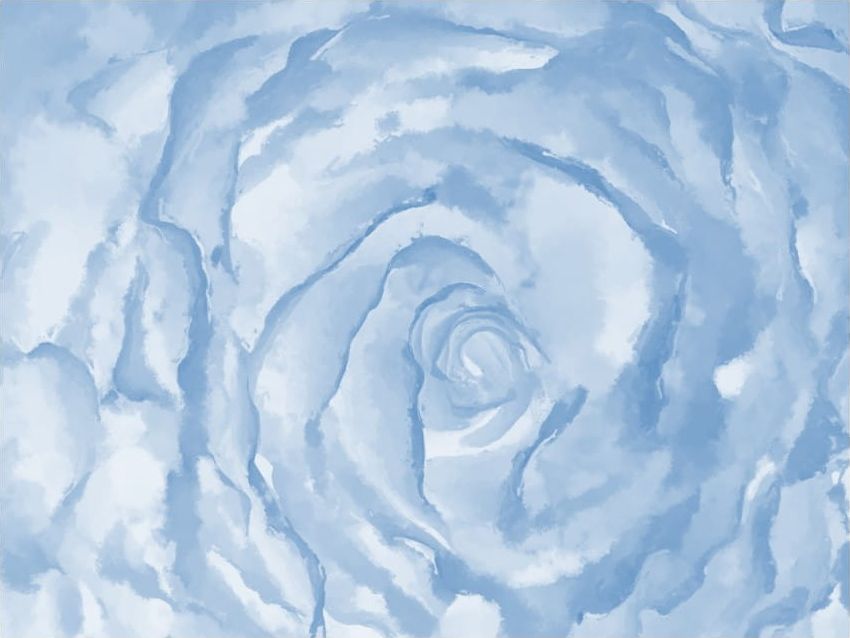 DecoNest Fototapeta - róża (niebieski) - 200X154