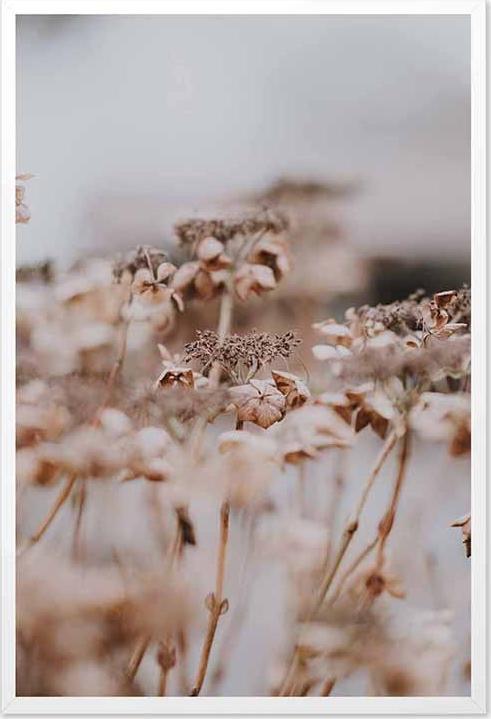 ART-POL Obraz na płótnie Boho