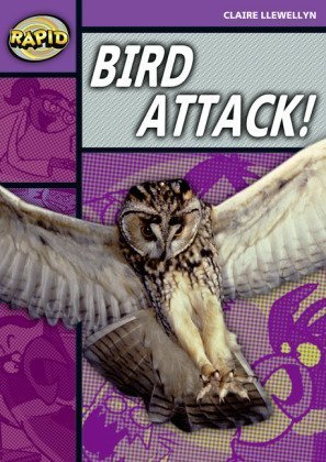 Rapid Reading: Bird Attack! (Stage 1, Level B)