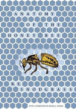 Anatomy of the Honey Bee