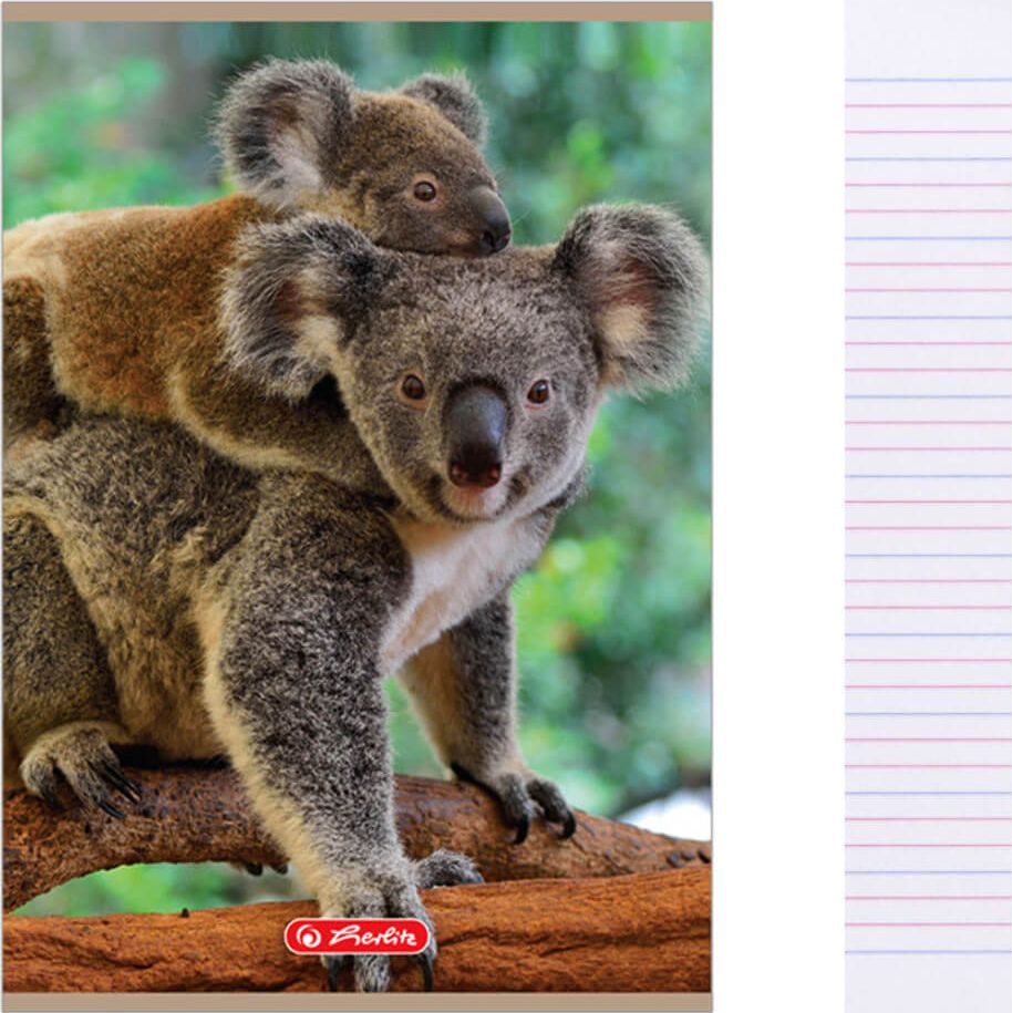 Herlitz Zeszyt A5 16k w 3 linie kolorowe Animals HERLITZ