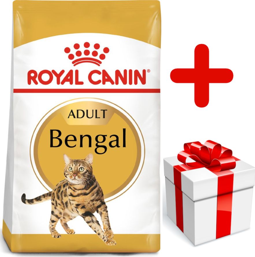 Royal Canin ROYAL CANIN Bengal Adult 10kg karma sucha dla kotów dorosłych rasy bengal + niespodzianka dla kota GRATIS!