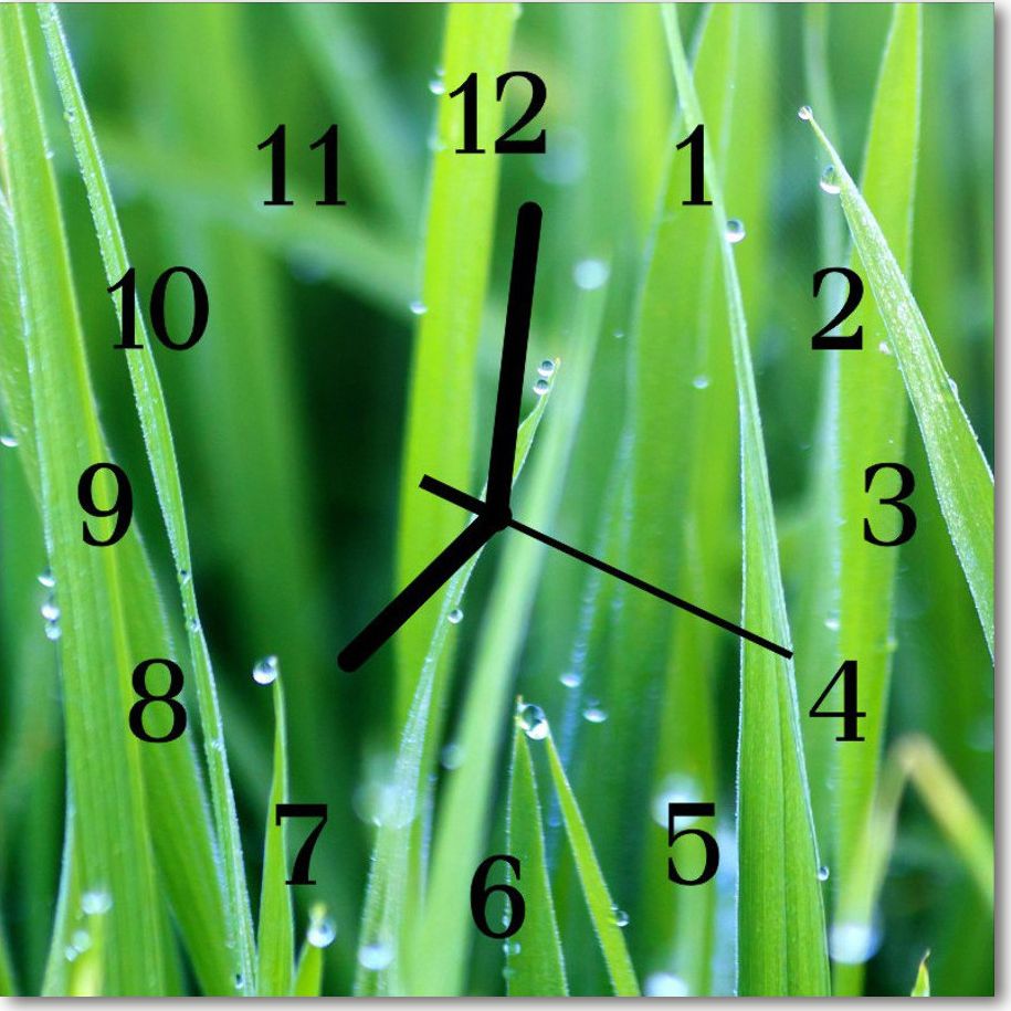 Tulup Zegar szklany ścienny Cichy Rosa na trawie 30x30 59044450