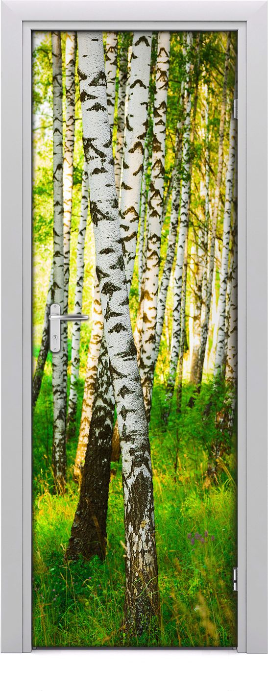 Tulup Fototapeta samoprzylepna na drzwi 75 x 205 cm brzozowy las