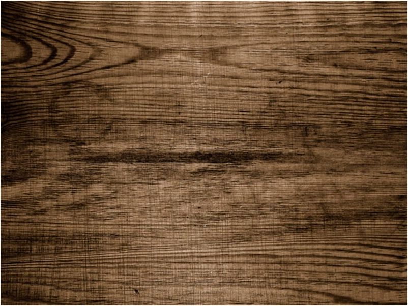 DecoNest Fototapeta - Lite drewno - 250X193