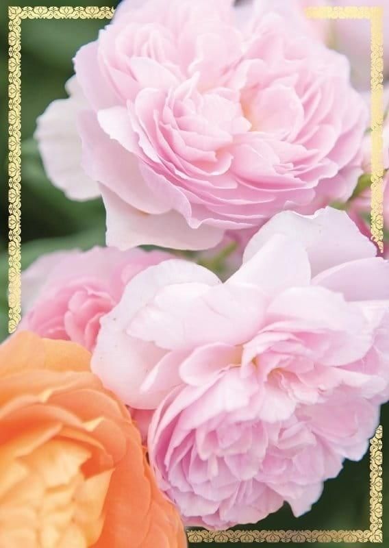 KUKARTKA Karnet B6 PP-2147 Kwiaty (bez tekstu)