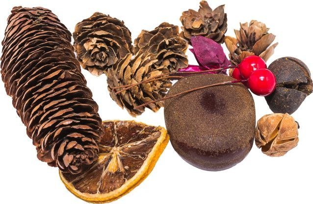 BREWIS Susz dekoracyjny 30~40g SD 3