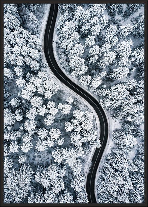 E-druk OBRAZ PLAKAT W RAMIE 53x73 cm Droga Pion P795